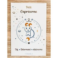 Mon Coffret Accessoire Astro Capricorne
