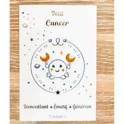 Mon Coffret Accessoire Astro Cancer