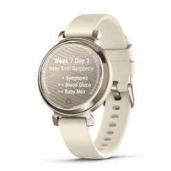 Montre Connectée 010-02839-00 - Garmin Lily® 2