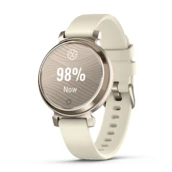 Montre Connectée 010-02839-00 - Garmin Lily® 2