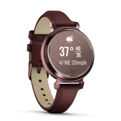 Montre Connectée 010-02839-03 - Garmin Lily® 2 Classic