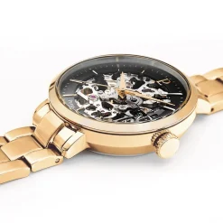 Montre 305D538 Pierre Lannier DELICE
