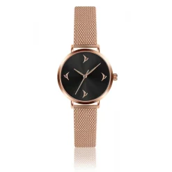 Montre ECE-3214 - Emily Westwood