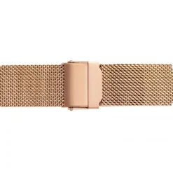 Montre ECE-3214 - Emily Westwood