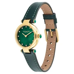 Montre Femme Coach Cary - 14503951 Bracelet Cuir Vert