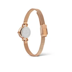 Montre Femme Daniel Wellington Petite Mini-DW00100742