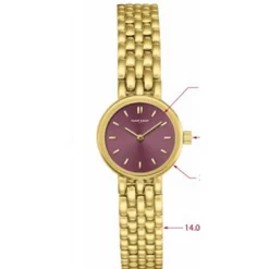 Montre Femme Naf Naf - NAFW1012 Bracelet Acier Doré