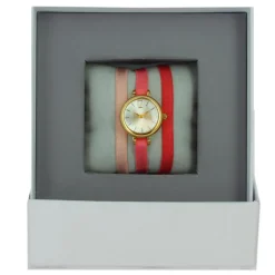 Montre Les Interchangeables A56721 Femme