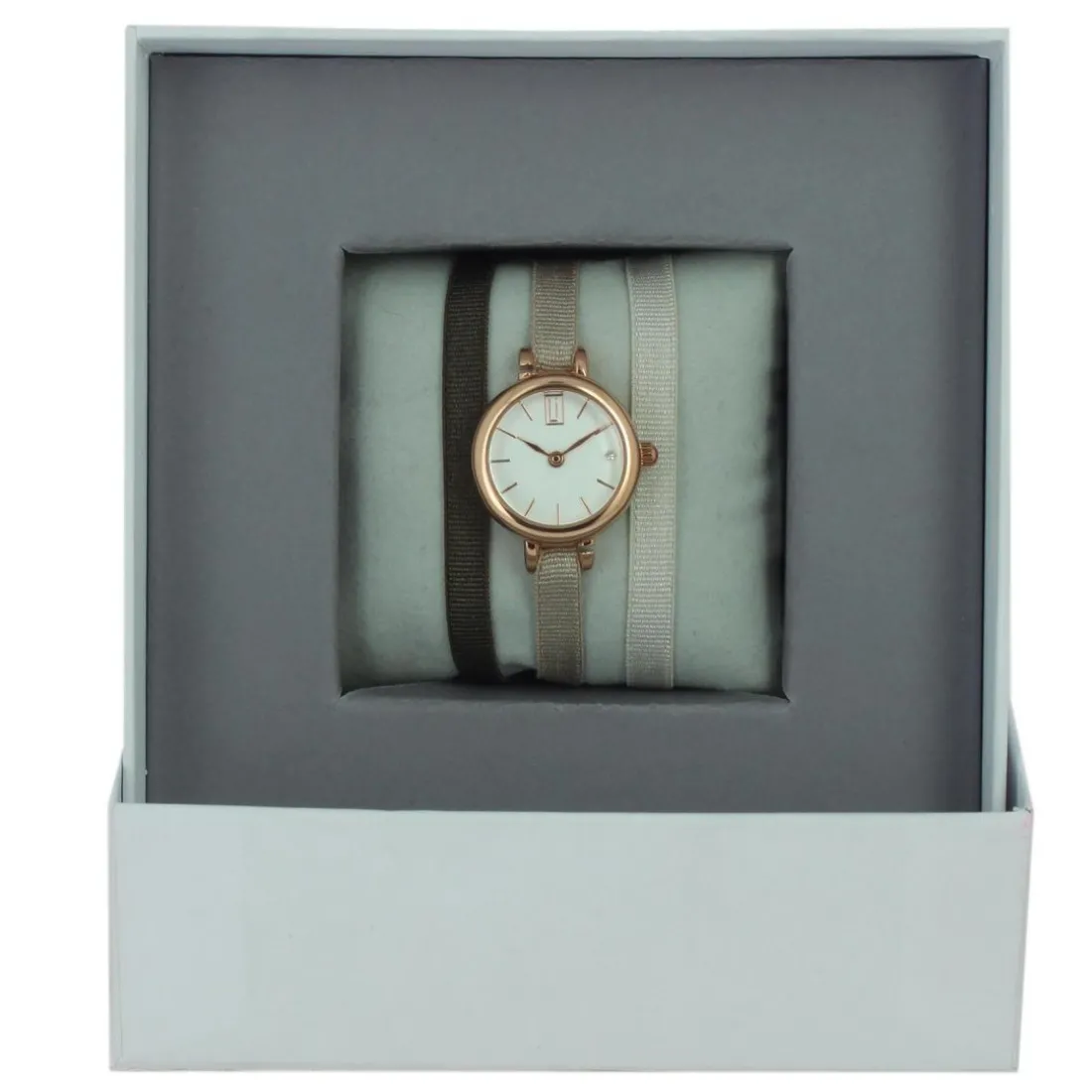 Montre Les Interchangeables A56982 Femme
