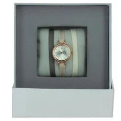 Montre Les Interchangeables A56921 Femme