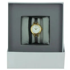Montre Les Interchangeables A56965 Femme