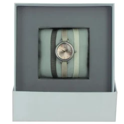 Montre Les Interchangeables A56891 Femme