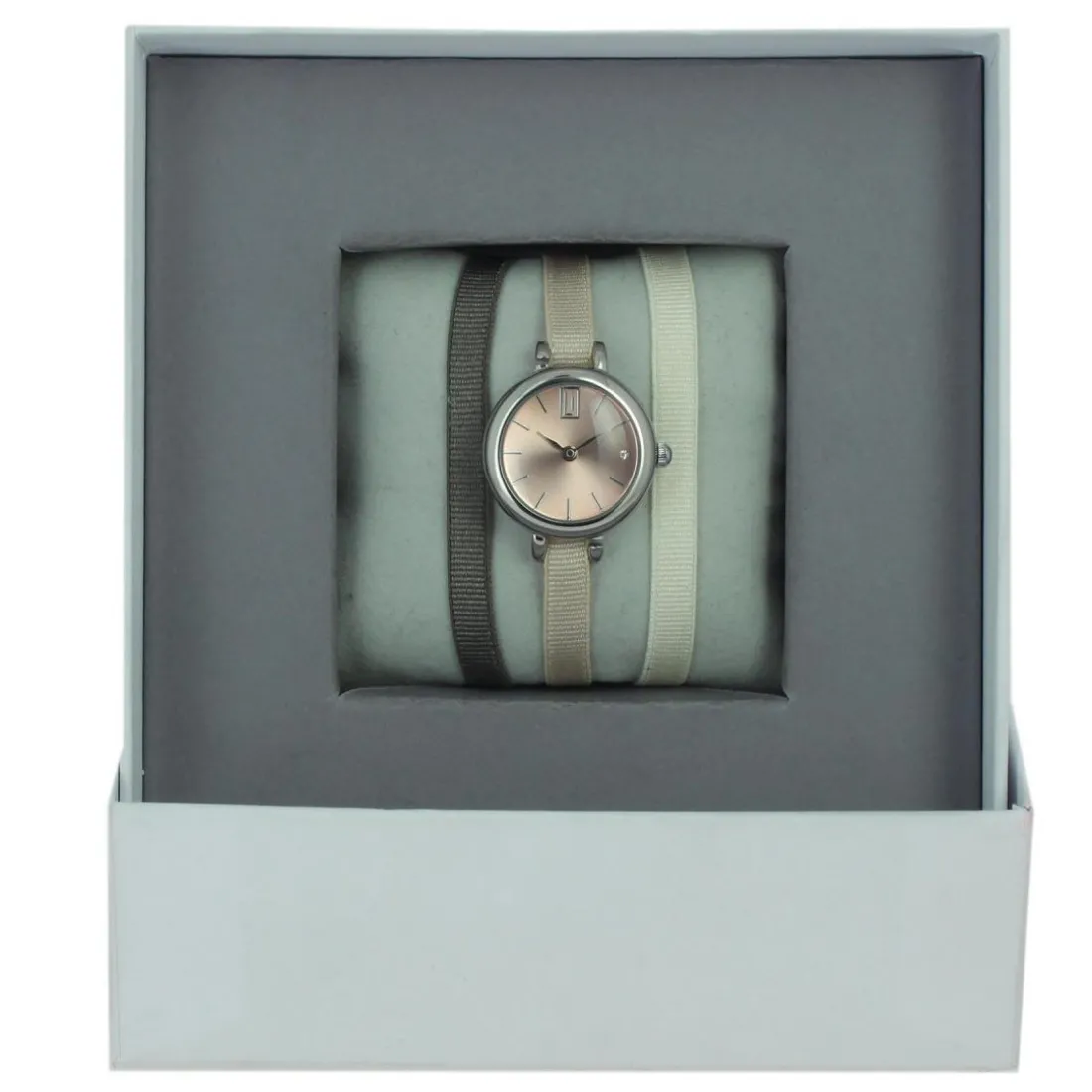 Montre Les Interchangeables A56891 Femme