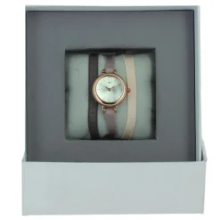 Montre Les Interchangeables A56922 Femme