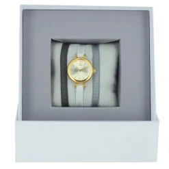 Montre Les Interchangeables A56731 Femme