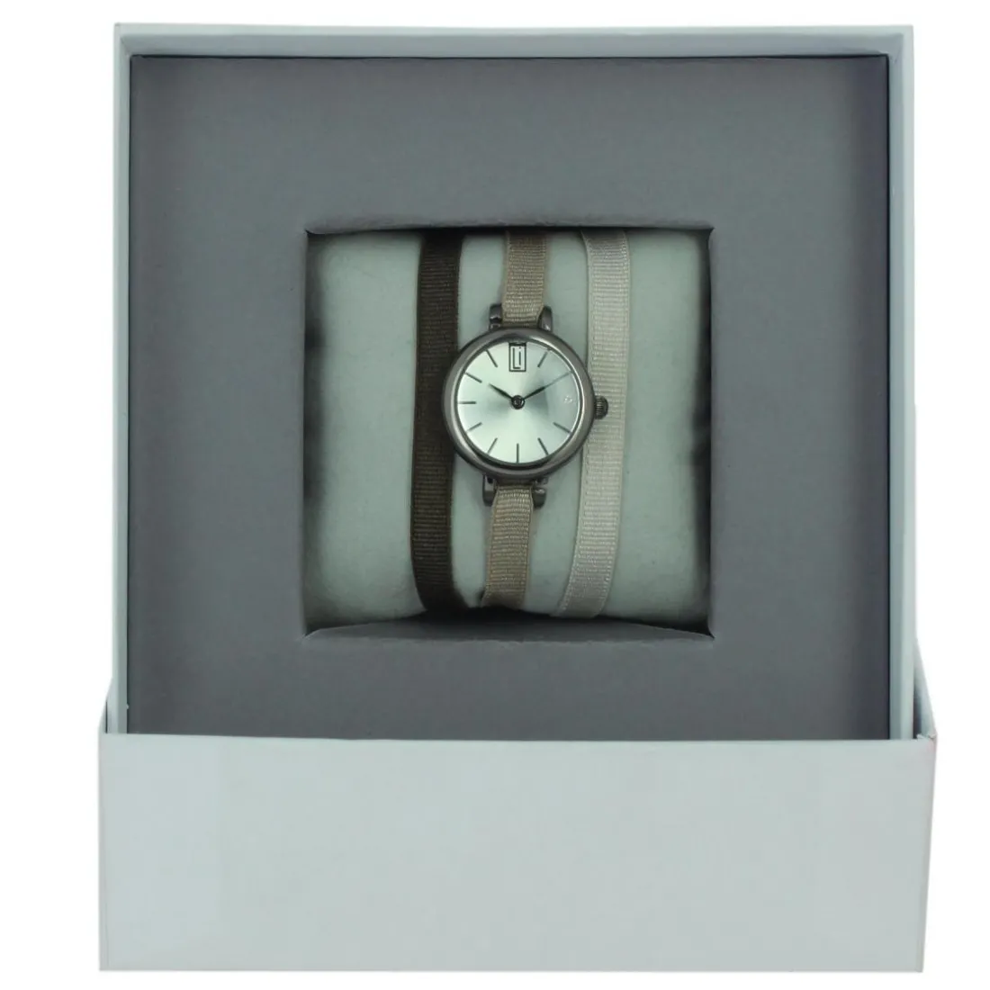 Montre Les Interchangeables A56950 Femme