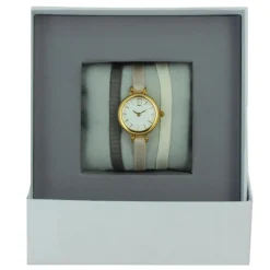 Montre Les Interchangeables A56969 Femme