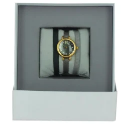 Montre Les Interchangeables A56744 Femme