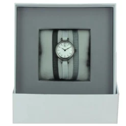 Montre Les Interchangeables A57017 Femme