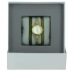 Montre Les Interchangeables A56964 Femme