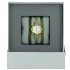 Montre Les Interchangeables A56964 Femme