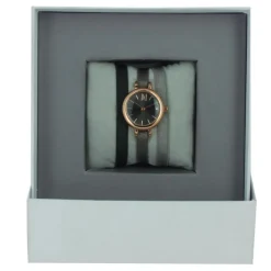 Montre Les Interchangeables A56760 Femme