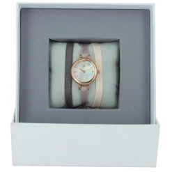 Montre Les Interchangeables A56828 Femme