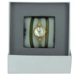 Montre Les Interchangeables A56807 Femme
