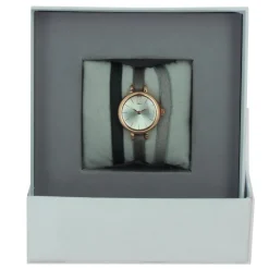 Montre Les Interchangeables A56917 Femme