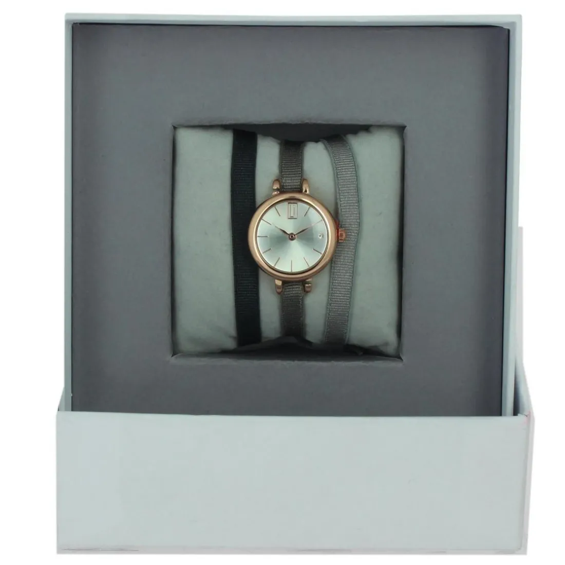 Montre Les Interchangeables A56917 Femme