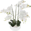 Orchidée pot céramique blanc H65