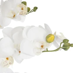 Orchidée pot céramique blanc H65