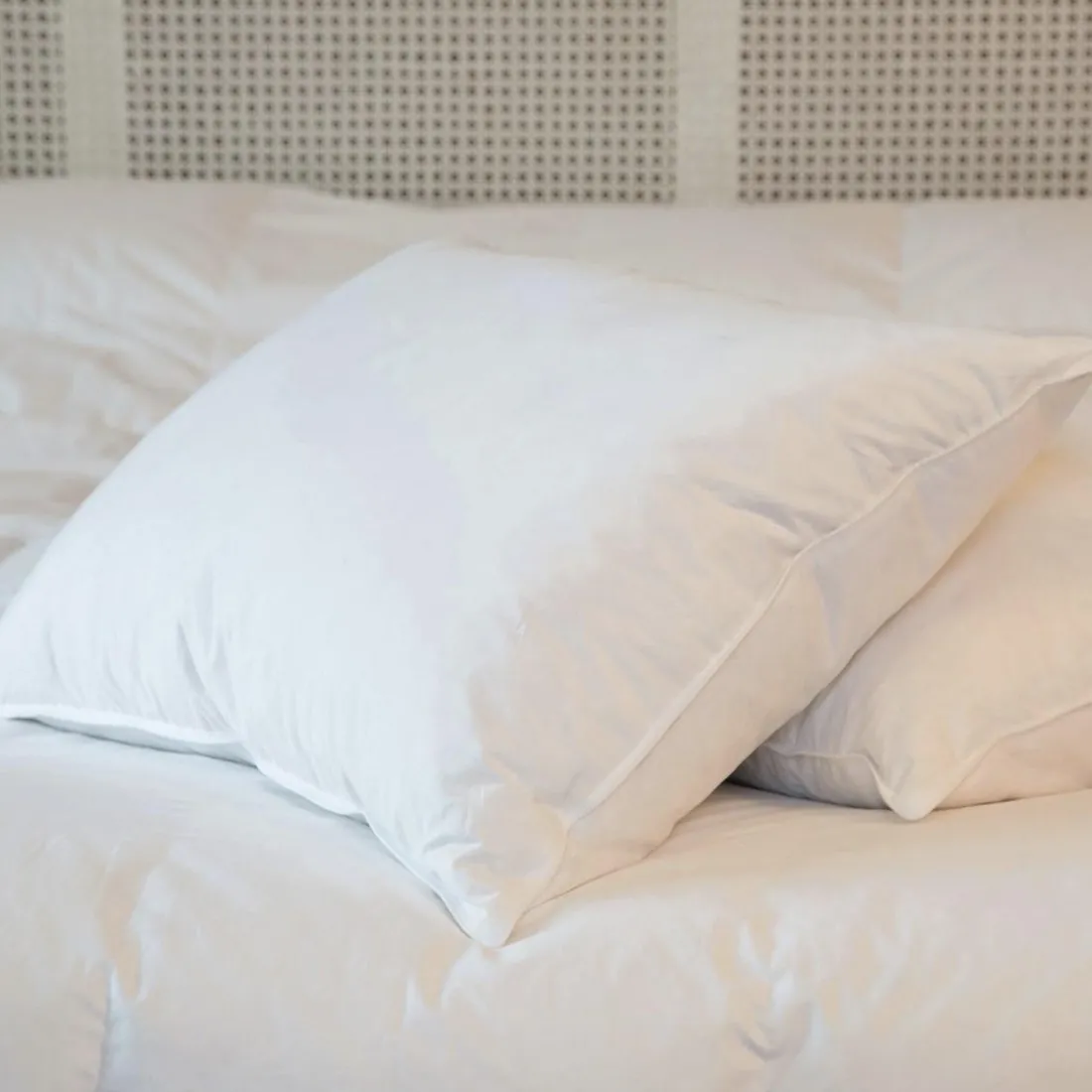 Oreiller 90% duvet