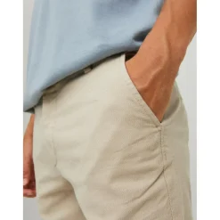 Pantalon chino Slim Fit Gris beige en coton Quinn