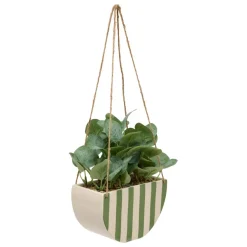 Plante artificelle suspendue Cheri Vert