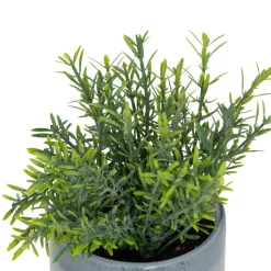 Plante artificielle en pot