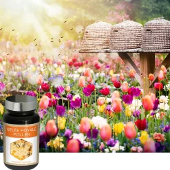 Pollen Gelée Royale