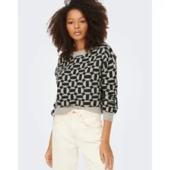 Pull en maille col rond col rond gris clair Mia