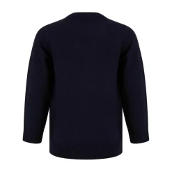 Pull noel garcon bleu fort