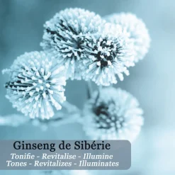 Roll-On Défatigant Regard Instantané Icy Magic au Ginseng de Sibérie