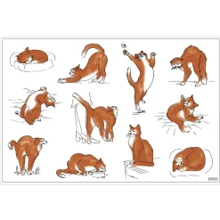 Set de table Journée du chat Assortis 30 x 45