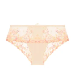 Shorty Brief