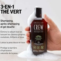 Soin 3-En-1 Arbre à Thé : Shampoing, Après-Shampoing et Gel Douche