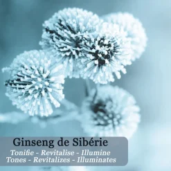 Soin Yeux Anti-Rides, Cernes & Poches Au Ginseng De Sibérie
