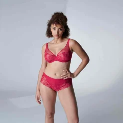 Soutien-gorge plongeant armatures