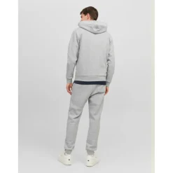 Sweat à capuche zippé Relaxed Fit Manches longues Gris Clair Andy