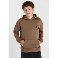 Sweat-Shirt capuche DEFEBO marron en coton Quade
