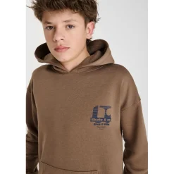 Sweat-Shirt capuche DEFEBO marron en coton Quade