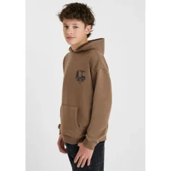 Sweat-Shirt capuche DEFEBO marron en coton Quade