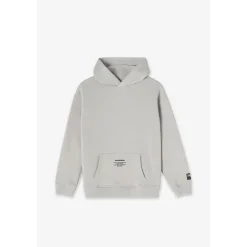 Sweat-Shirt capuche garçon TANBO gris Gus en coton